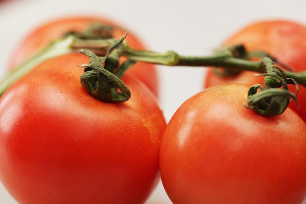 Branche de tomate mûre