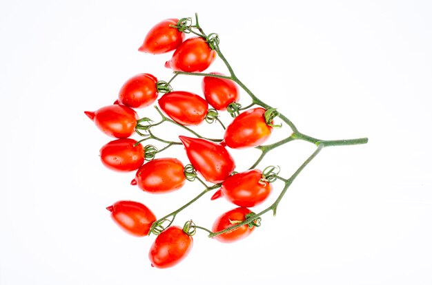 Branche de tomates allongées rouges mûres. Studio photo.