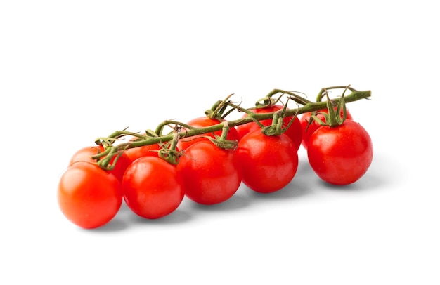 Branche de tomates cerises sur fond blanc