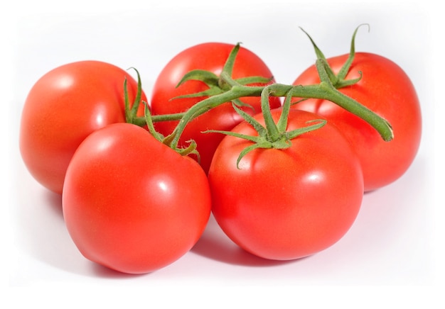 Branche de tomates mûres sur fond blanc