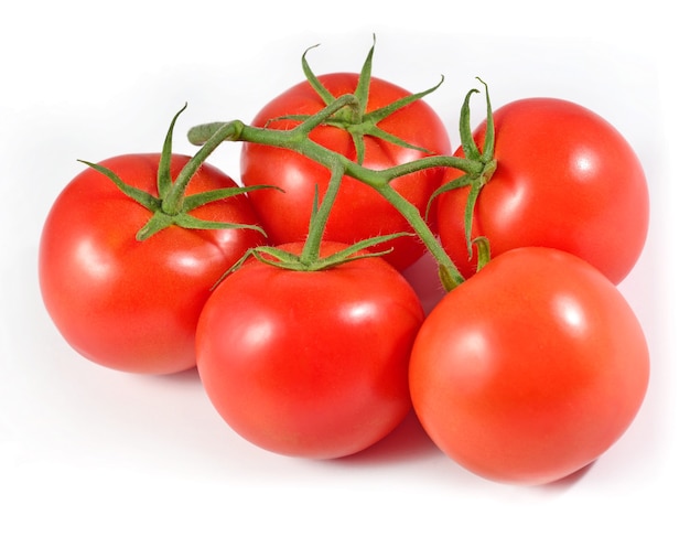 Branche de tomates mûres sur fond blanc