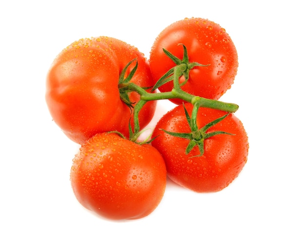 Branche avec des tomates mûres fraîches sur blanc