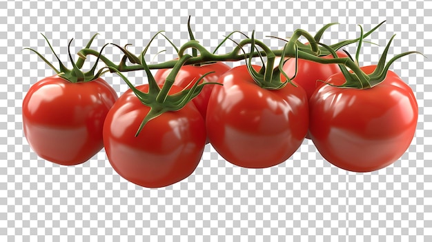 Une branche de tomates rouges mûres sur un fond blanc Les tomates sont disposées en grappes et ont des tiges et des feuilles vertes