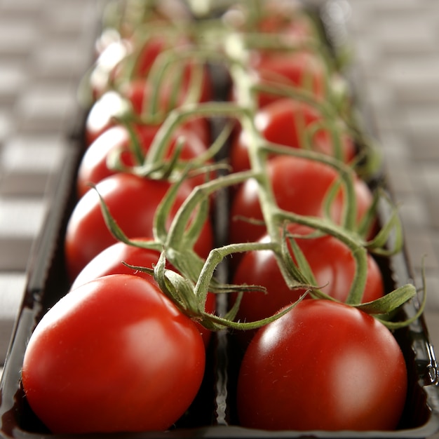 Branche de tomates rouges