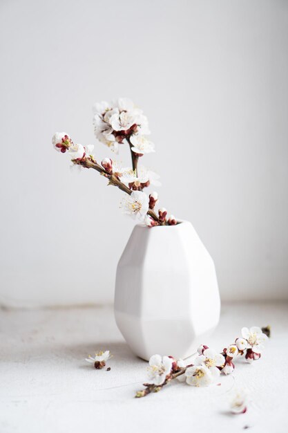 Branches d'abricotier en fleurs dans des vases décoration de maison de printemps blanc