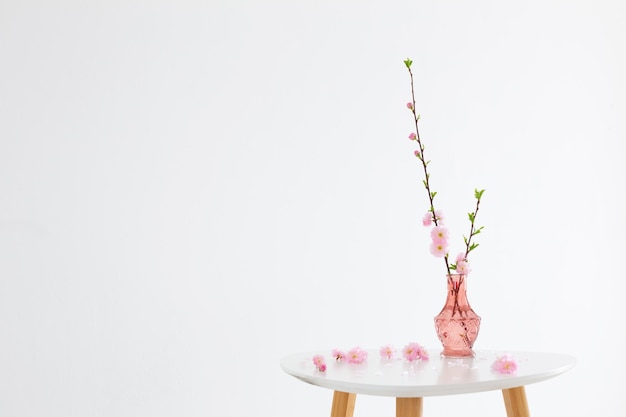 Branches d'amandes en fleurs dans un vase en verre rose sur fond blanc