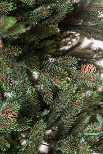 branches d'un arbre de Noël avec des guirlandes