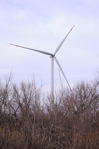 Branches d'arbres d'automne dans le contexte d'une pale d'éolienne et d'un ciel nuageux