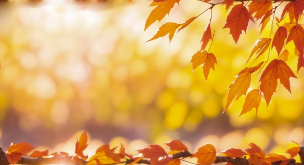 Branches d'arbres d'automne avec des feuilles jaunes en gros plan sur un arrière-plan flou IA générative