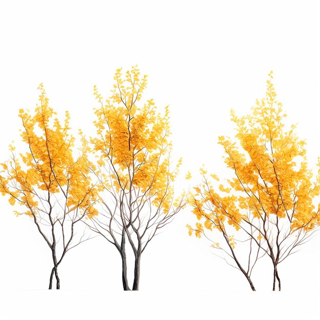 Des branches d'arbres avec des fleurs jaunes d'automne