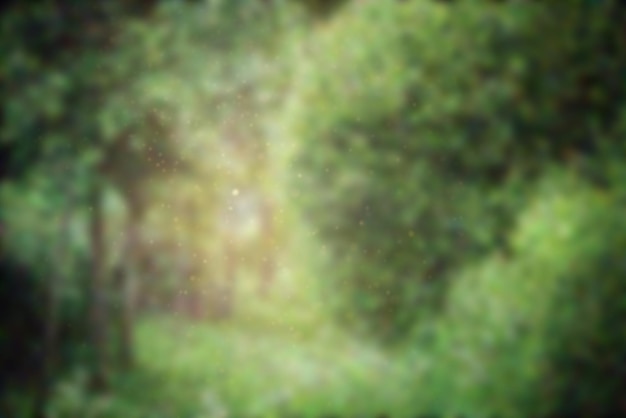 Branches d'arbres et fond vert naturel dans le flou Image d'arrière-plan du parc d'été et lumière d'été