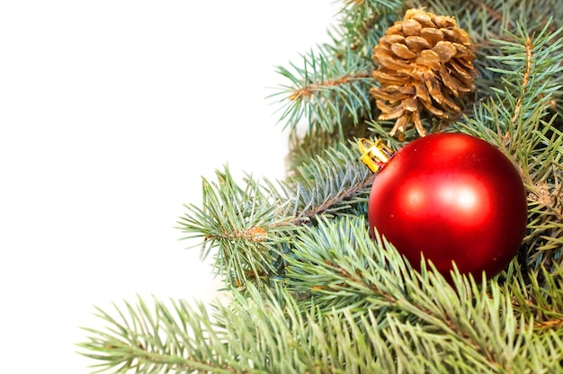 Des branches d'arbres de Noël avec des cônes, des cadeaux et des jouets sur un fond blanc