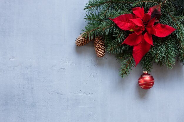 Branches d&#39;arbres de Noël avec des cônes, du poinsettia