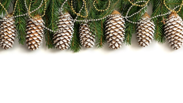 Branches d'arbres de Noël et cônes avec un fond blanc.