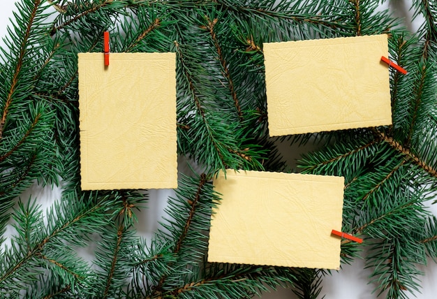 Branches d'arbres de Noël avec des feuilles de souhaits ou un avis sur le fond à feuilles persistantes