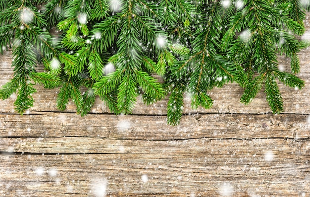 Branches d'arbres de Noël avec des flocons de neige