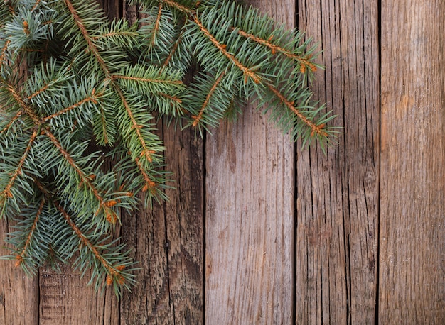 Branches d'arbres de Noël sur fond en bois