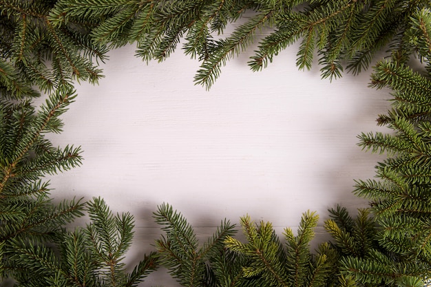 Branches d'arbres de Noël sous la forme d'un cadre sur un fond blanc, Noël, carte de voeux.