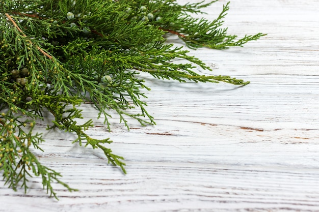 Branches d'arbres sur table en bois