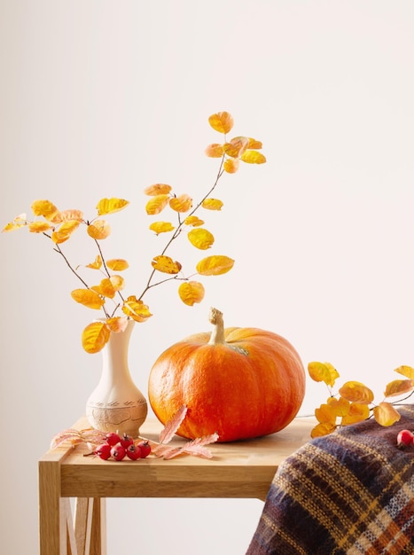 Branches d'automne avec des feuilles d'oranger dans un vase et des citrouilles sur fond blanc