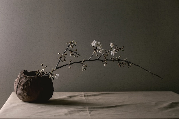 Branches de cerisier en fleurs