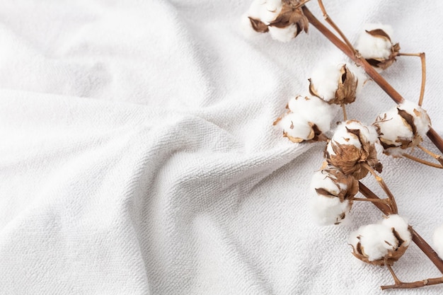 Photo branches de coton sur une serviette éponge de bain blanche