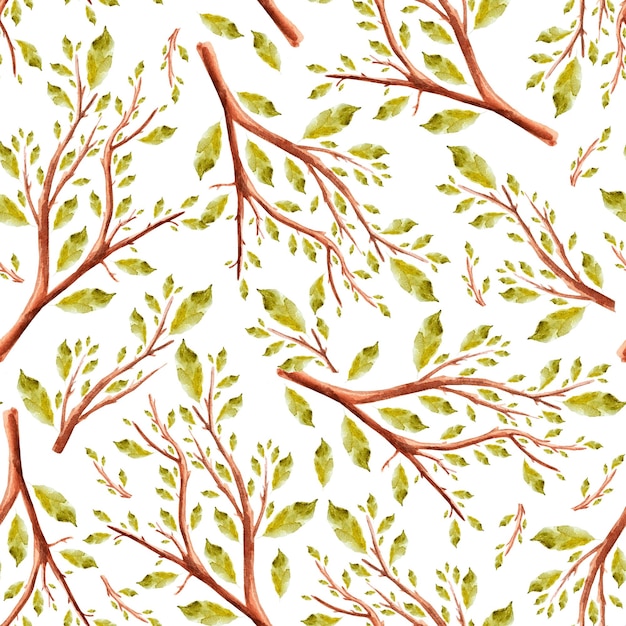 Branches dans le modèle sans couture aquarelle de jardin