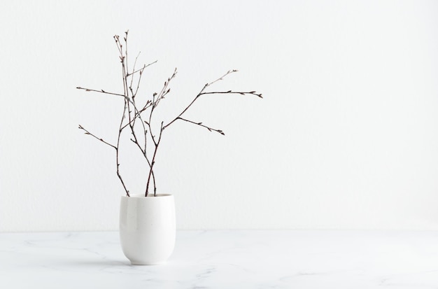 Branches dans un vase blanc