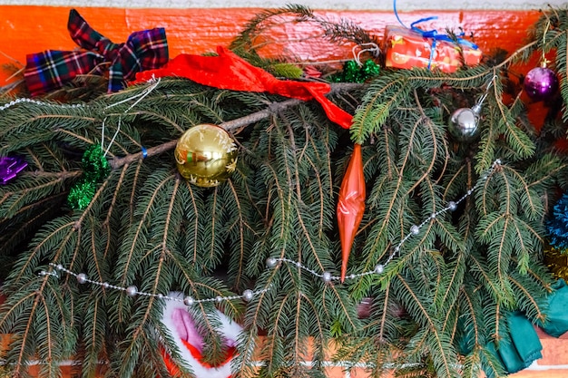 Branches du sapin et décorations de Noël