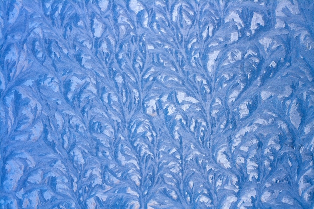 Branches entrelacées d'un motif hivernal sur verre. Dessin sur une fenêtre figée. Horizontal.