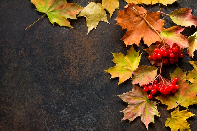 Branches d'érable d'automne avec des feuilles rouges et orange