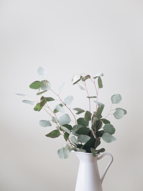 Des branches d'eucalyptus dans un vase blanc