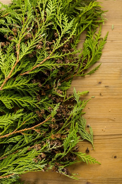 Branches d'Evegreen sur table en bois teinté.