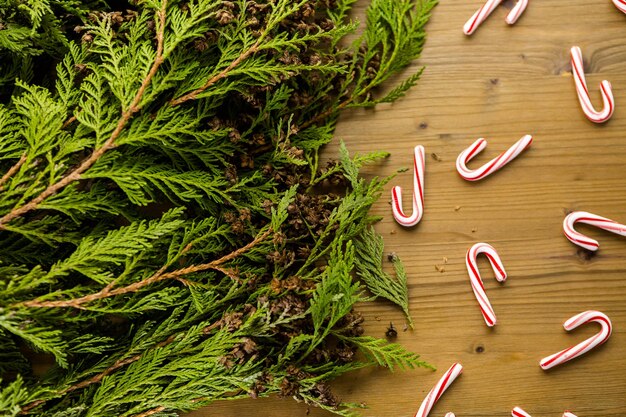 Branches d'Evegreen sur table en bois teinté.