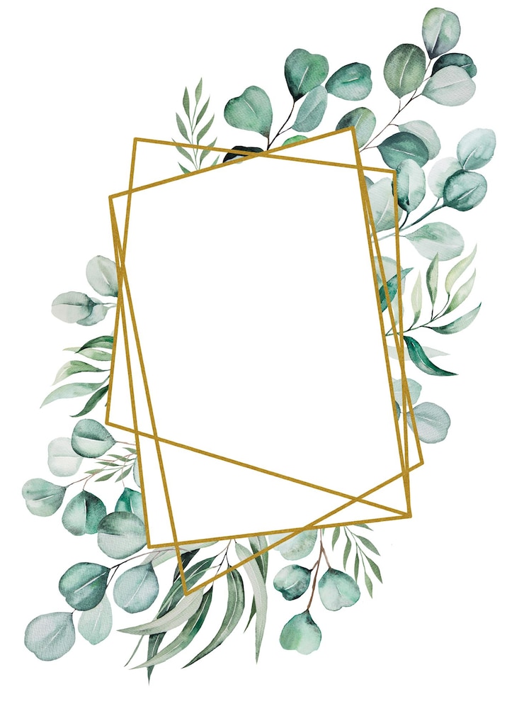 Photo branches et feuilles d'eucalyptus vert à l'aquarelle illustration isolée sur blanc pour mariage à l'arrêt, cartes de voeux, papiers peints, artisanat. cadre de verdure rustique. clipart floral peint à la main.