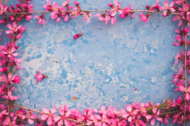 Branches fleuries de printemps, fleurs roses sur fond bleu