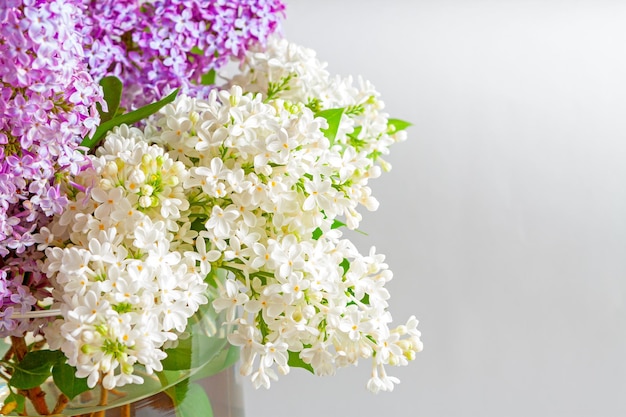 Branches de lilas blancs et violets en fleurs dans un bouquet