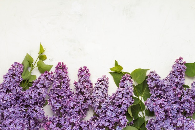 Branches lilas sur une surface de pierre claire. Concept de printemps. Mise à plat, vue de dessus