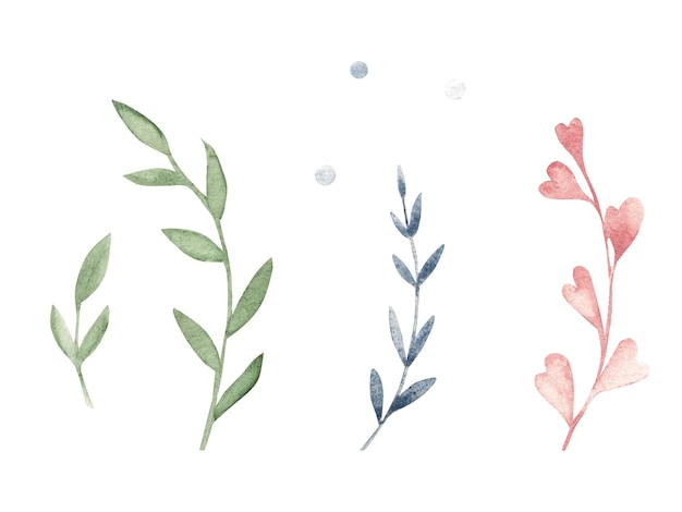 Branches mises en couleurs pastel dessinées à la main à l'aquarelle illustration florale isolée sur un blanc