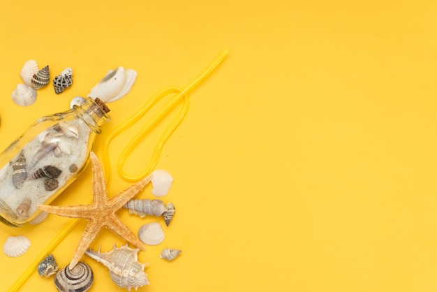 Branches de palmiers avec étoile de mer et coquillage sur fond jaune