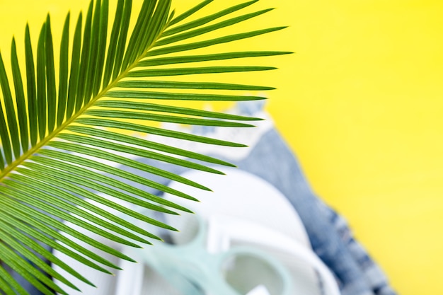 Branches de palmiers tropicaux avec un ensemble flou d'accessoires pour femmes à la saison de la plage