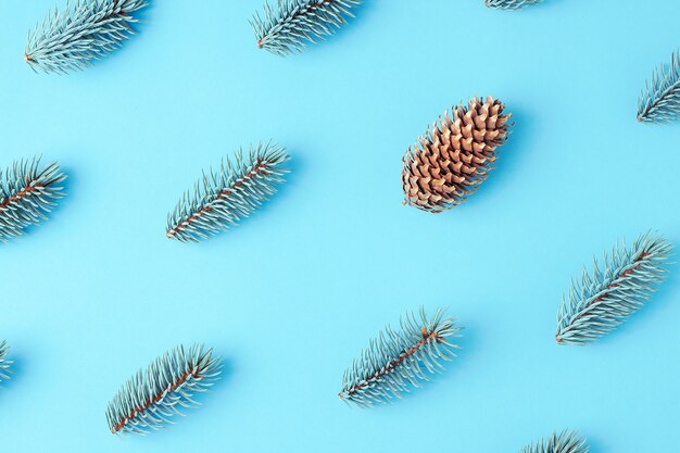 Photo branches de pin avec un cône sur fond bleu