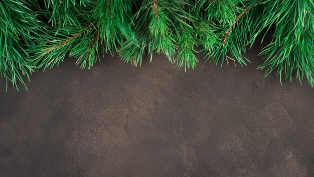 Branches de pin sur fond marron