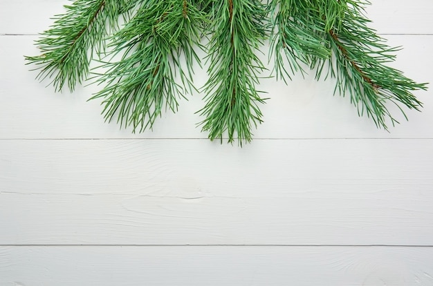 Branches de pin vert sur fond de bois blanc