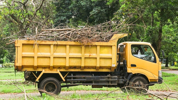 Branches racines morceaux de troncs restés sur des piles après avoir enlevé du bois de la forêt