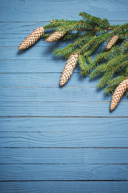 Branches de sapin avec des cônes sur fond de bois bleu