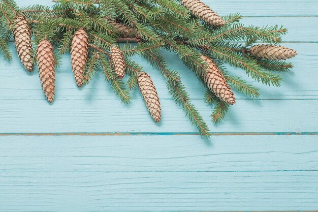 Branches de sapin avec cônes sur mur en bois bleu