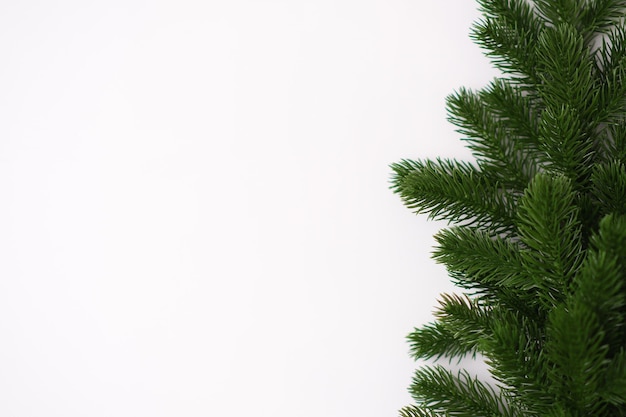 Branches de sapin sur fond blanc vue du haut