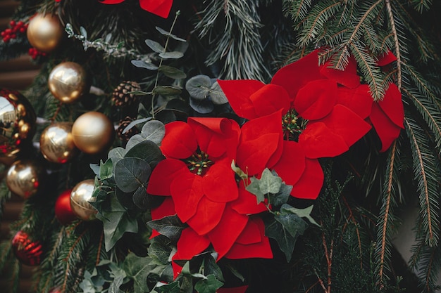 Branches de sapin de Noël élégantes avec des boules et des poinsettias se bouchent sur l'extérieur du bâtiment Décor de Noël moderne dans la rue de la ville Fleur d'étoile de Noël Vacances d'hiver en Europe Joyeux Noël