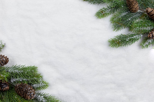 Branches de sapin de Noël à plat avec des pommes de pin sur fond de neige. Composition créative avec bordure. Vue de dessus. Espace de copie.
